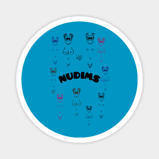 NUDIMS Group Magnet